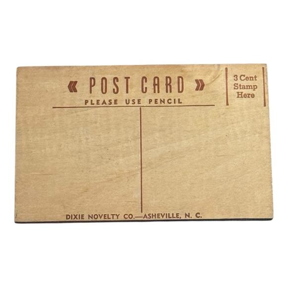 Vtg Wooden Postcard Be A Good One Unposted 3 Cent Dixie Novelty North Carolina - Picture 2 of 4